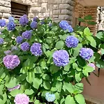 Apartment Villa Mihaela Porec Holiday Apartments