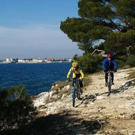 Villa Mihaela Porec Appartamento *