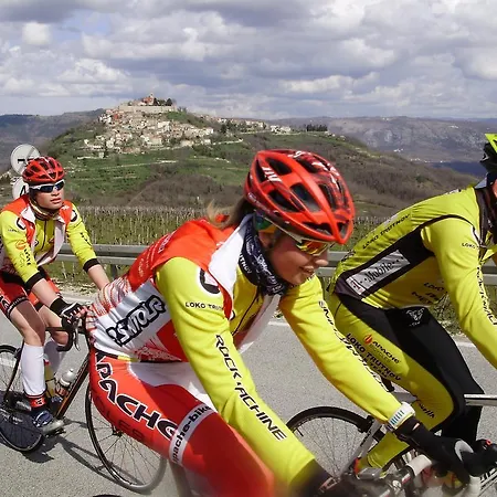 米哈埃拉别墅公寓 公寓 波雷奇