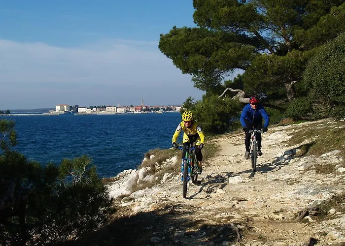 Mihaela Διαμέρισμα *